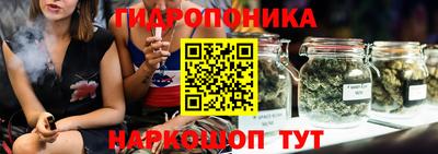 гидропоника Кулебаки