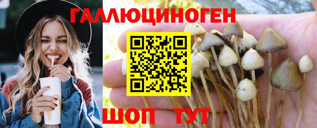 Иваново  Галлюциногенные грибы Psilocybine cubensis  Вход с VPN 